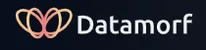 Datamorf logo