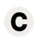 Hey Cami AI favicon