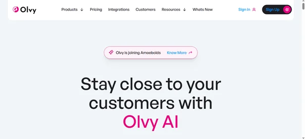 Olvy AI