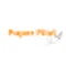 Paper Pilot favicon