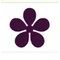 Picture Description favicon