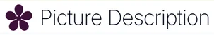 Picture Description logo