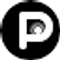 Pingg favicon
