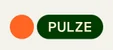 Pulze AI logo
