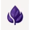 Purple Leaf AI favicon
