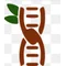 Tamarind
