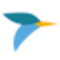 Tern favicon