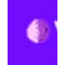 VENGO50