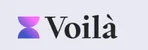 Voila AI