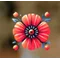 popplan