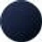 privacy favicon