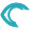 rsipvision favicon