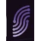 Insightio AI