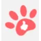 Pawfect Snapshots.favicon