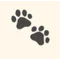 Pet Lens AI