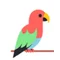 Polly Talks