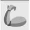 Regexer favicon