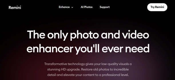 Remini homepage