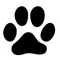 SuggestCat.favicon