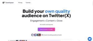 TweetSpear homepage