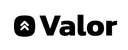 Valor Flights logo