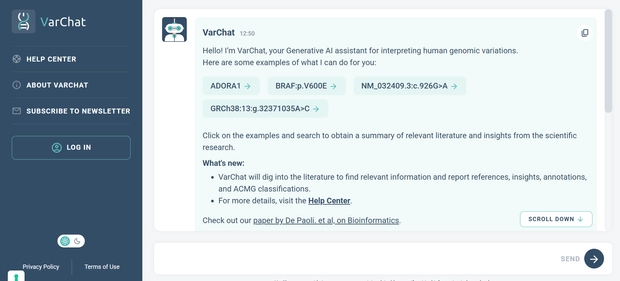 VarChat homepage