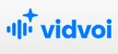 VidVoi AI Voiceover Generator logo