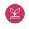 Vidya AI favicon